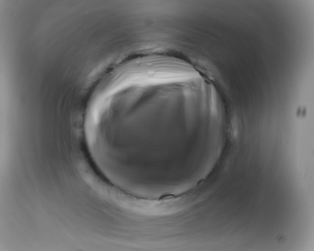 X0000113580023200910091512