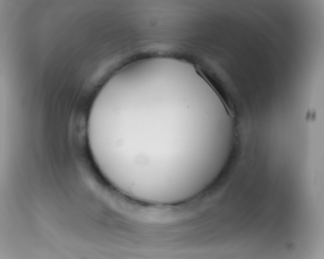 X0000113580024200910091512