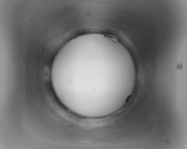 X0000113580025200910091512