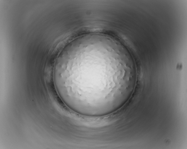 X0000113580026200910091512