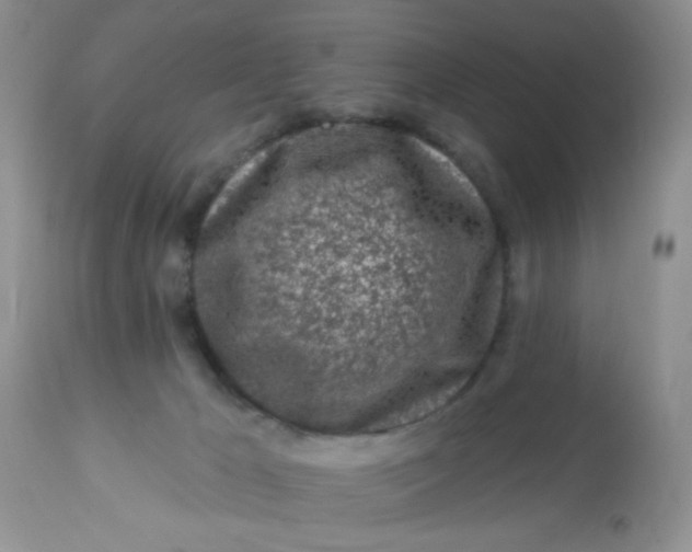 X0000113580029200910091512