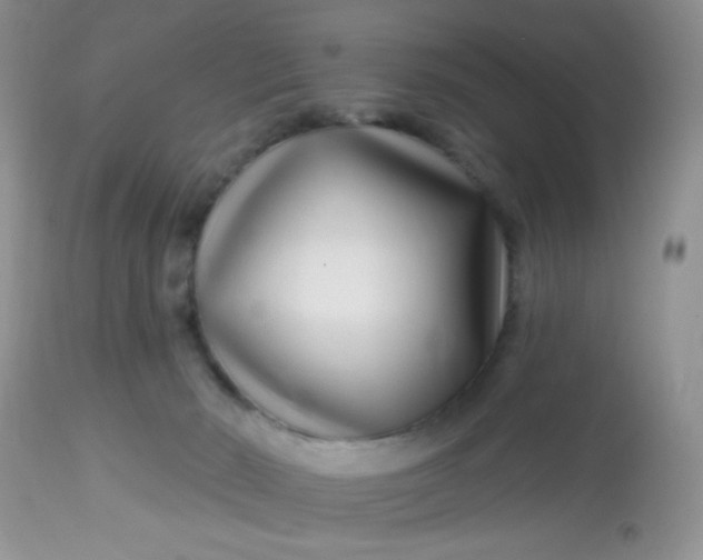 X0000113580030200910091512