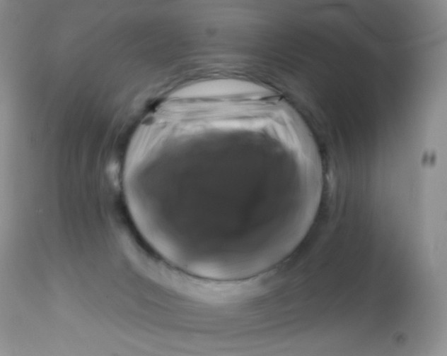 X0000113580031200910091512