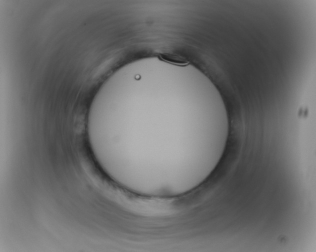 X0000113580032200910091512