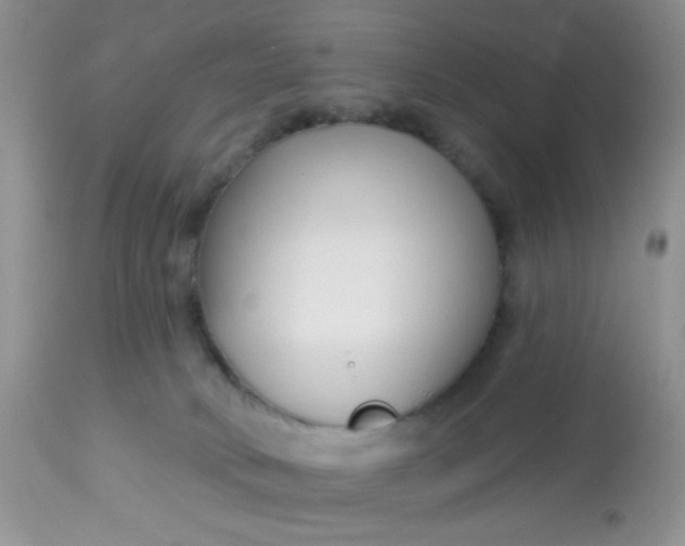 X0000113580034200910091512