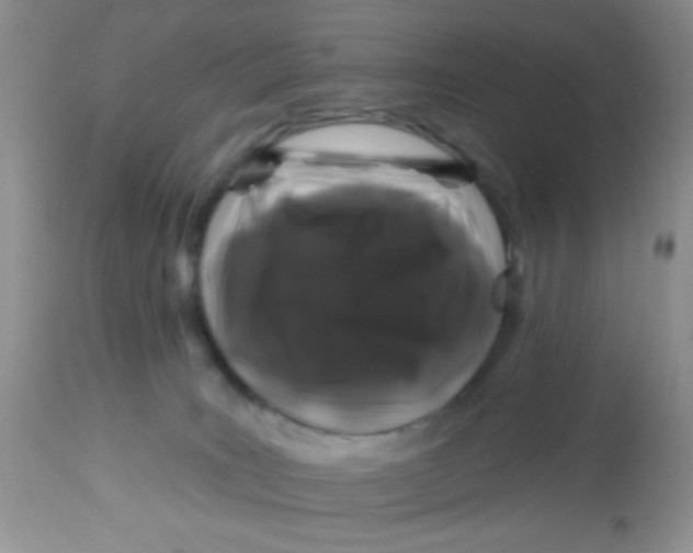 X0000113580035200910091512