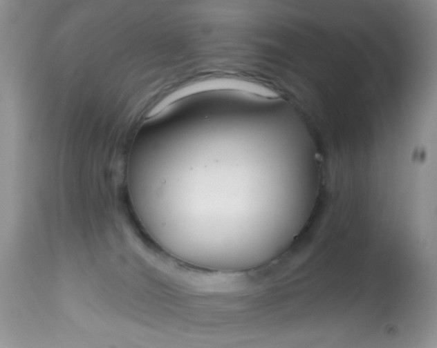 X0000113580036200910091512