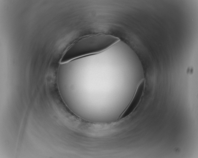 X0000113580037200910091512