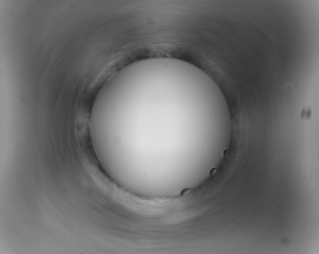 X0000113580038200910091512