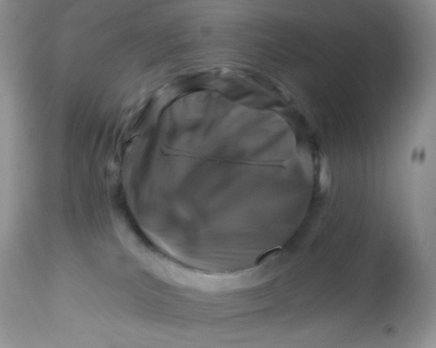 X0000113580039200910091512