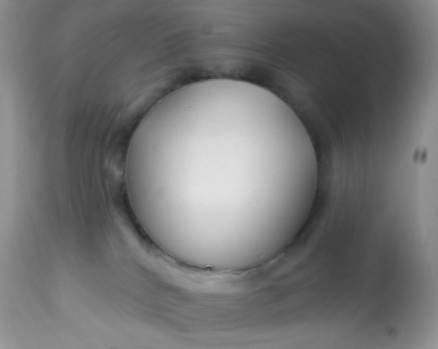 X0000113580040200910091512