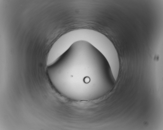 X0000113580041200910091512