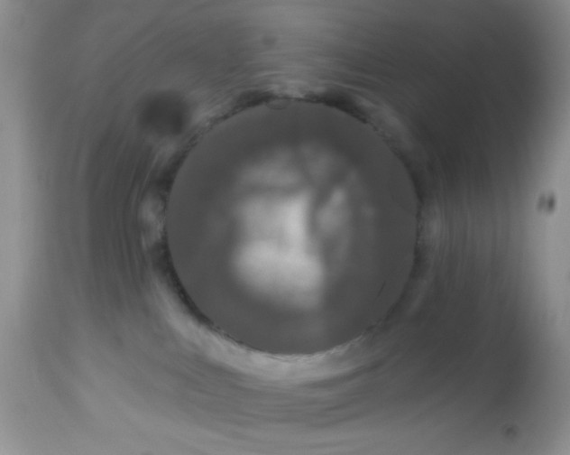 X0000113580043200910091512