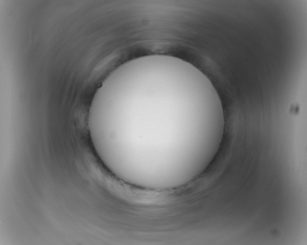 X0000113580044200910091512