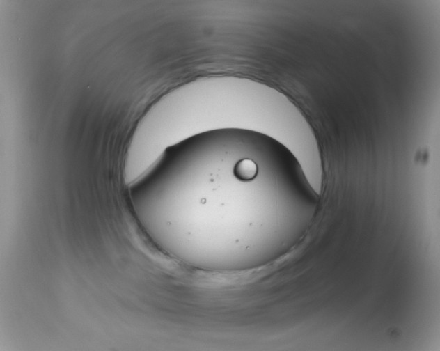 X0000113580045200910091512