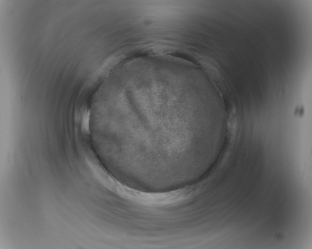 X0000113580046200910091512