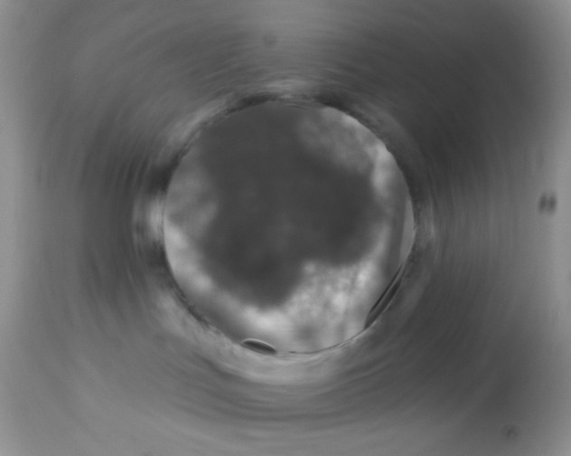 X0000113580047200910091512