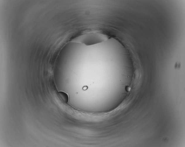 X0000113580048200910091512