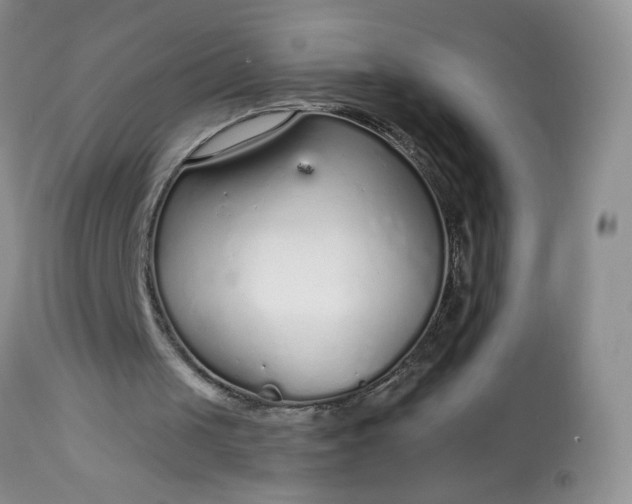 X0000113580049200910091511