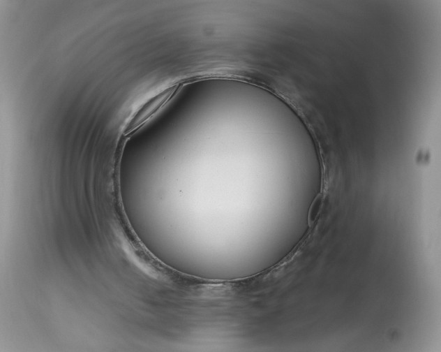 X0000113580050200910091511