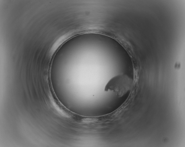 X0000113580051200910091511