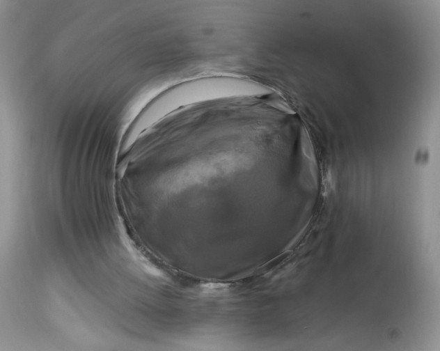 X0000113580052200910091511