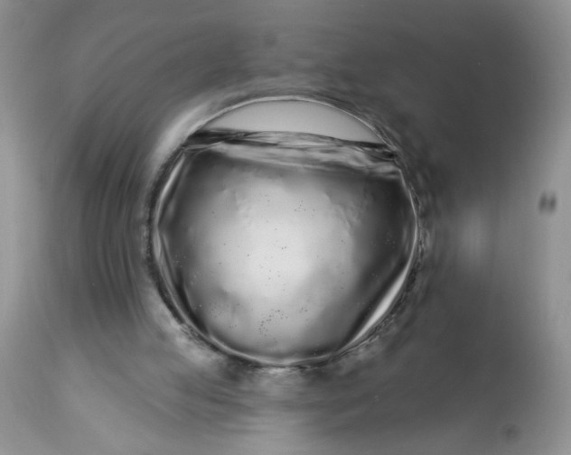 X0000113580053200910091511