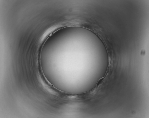 X0000113580054200910091511