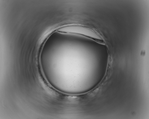 X0000113580055200910091511