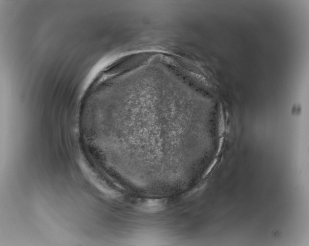 X0000113580056200910091511