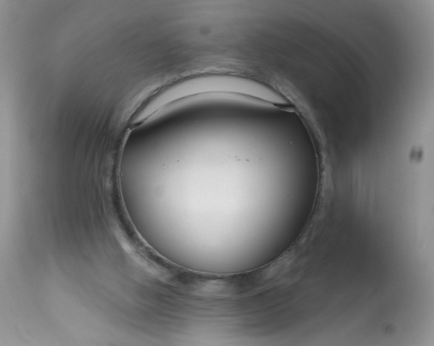 X0000113580058200910091511