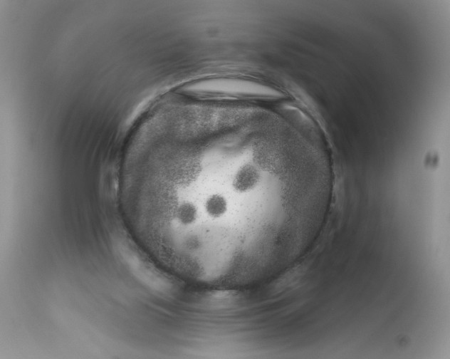 X0000113580059200910091511