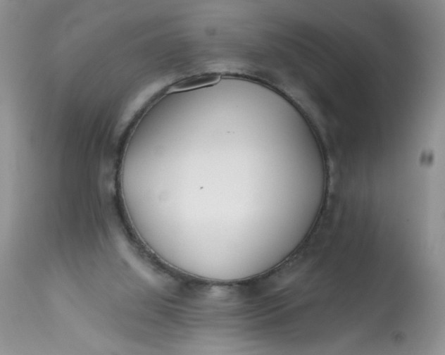 X0000113580060200910091511