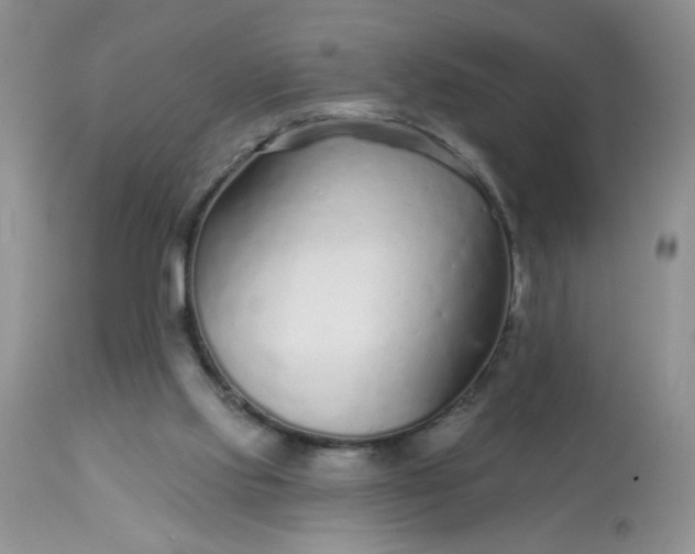 X0000113580061200910091511