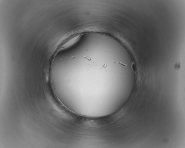 X0000113580062200910091512