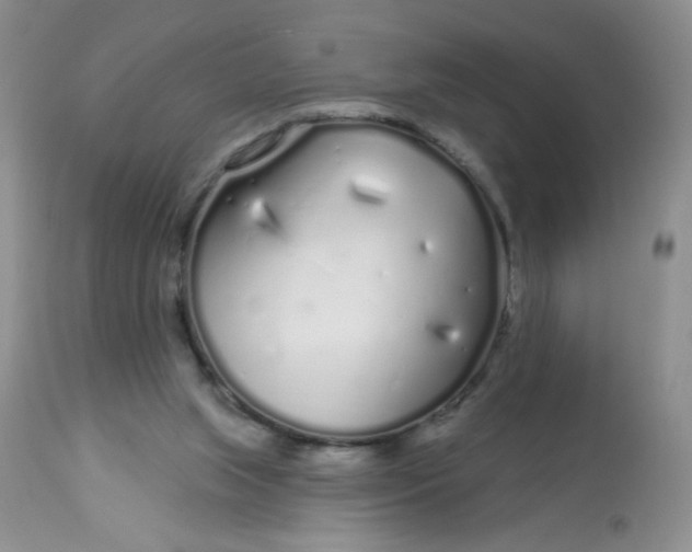 X0000113580063200910091512