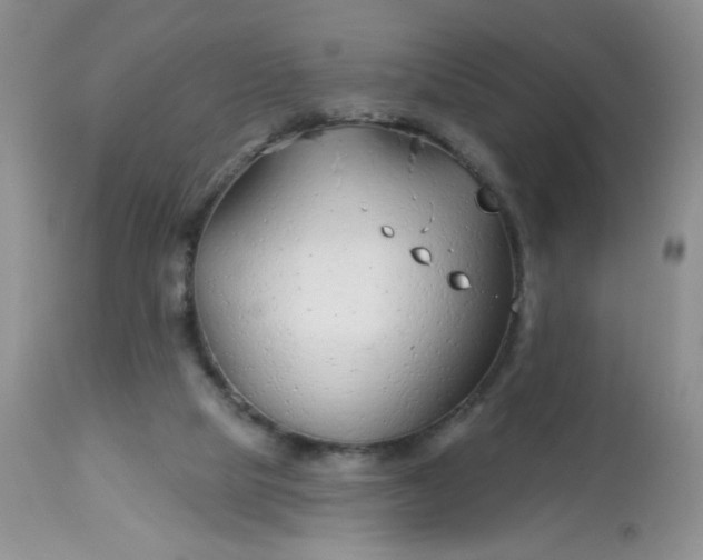 X0000113580065200910091512