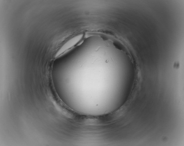 X0000113580066200910091512