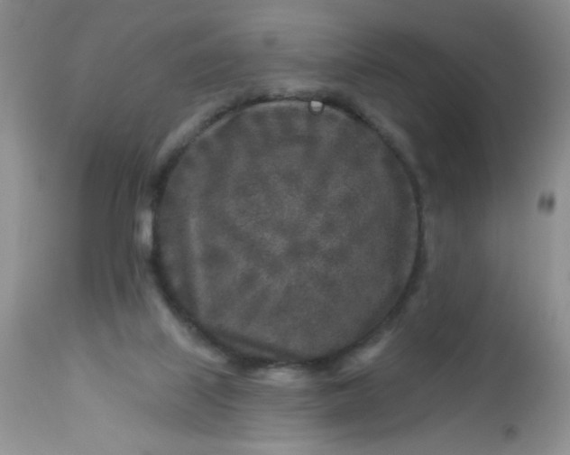 X0000113580067200910091512