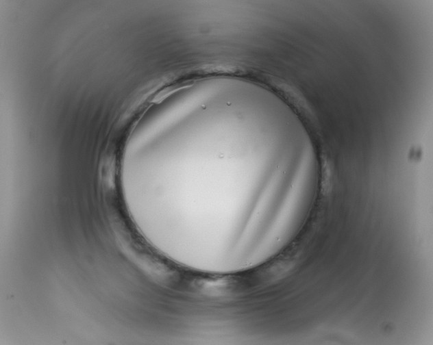 X0000113580068200910091512