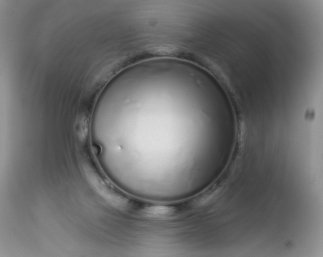 X0000113580069200910091512