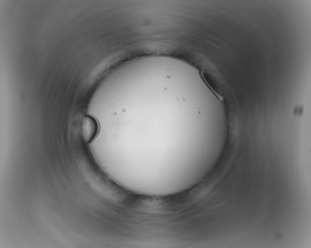 X0000113580071200910091512