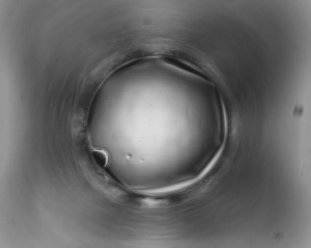 X0000113580073200910091512