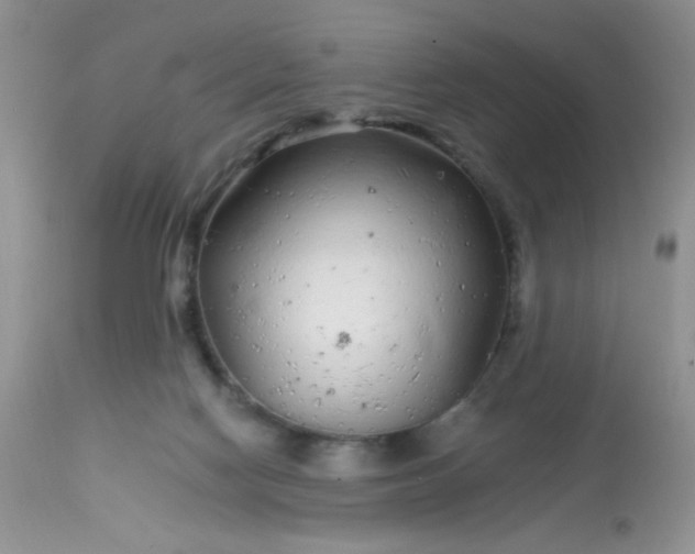 X0000113580074200910091512