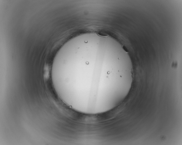 X0000113580075200910091512