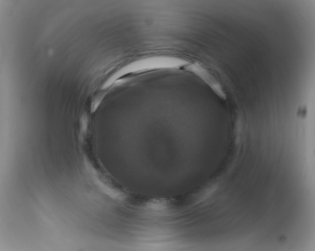 X0000113580076200910091512