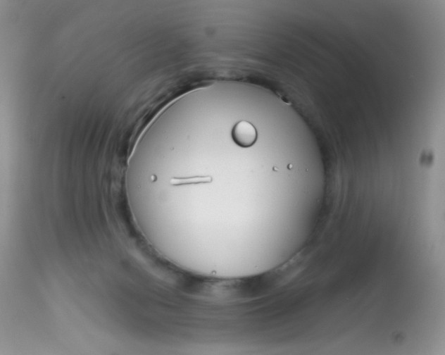 X0000113580078200910091512