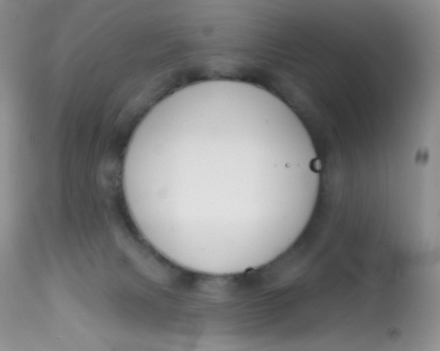 X0000113580079200910091512