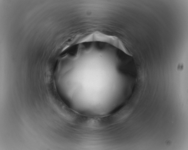 X0000113580080200910091512