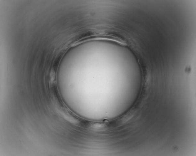 X0000113580081200910091512